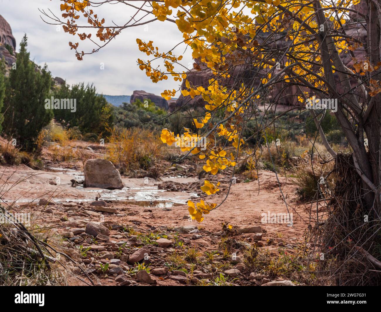 Stati Uniti, Stato dello Utah. Grand County. Mill Canyon Dinosaur Trail, vicino a Moab. Questo è un museo all'aperto gestito dal Bureau of Land Management, ed è Foto Stock