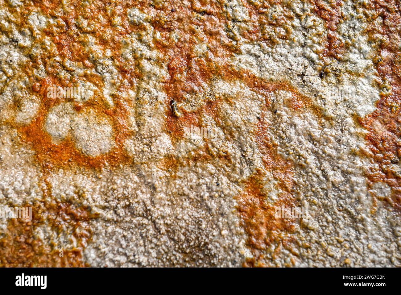 Il Rio Tinto a Huelva, Spagna, espone notevoli depositi di ferro rossi e arancioni e tracce di microrganismi verdi Foto Stock