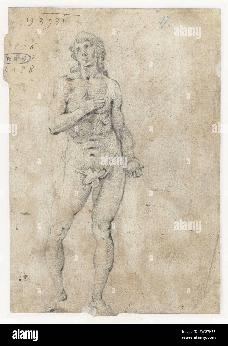 Standing Adam Who Holding the Apple, c. 1612 disegno Zwolle (possibile) carta. gesso Foto Stock