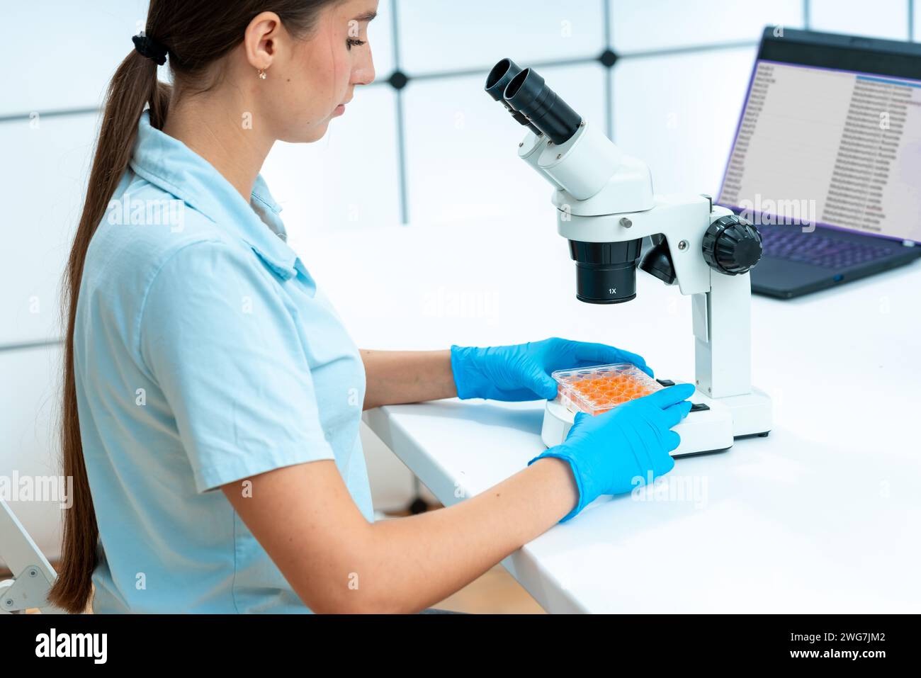 CRISPR-Cas9 Genome editing: Le piastre a 24 pozzetti sono utilizzate per esperimenti di editing del genoma CRISPR-Cas9. I costrutti CRISPR e le proteine Cas9 possono essere erogati t Foto Stock