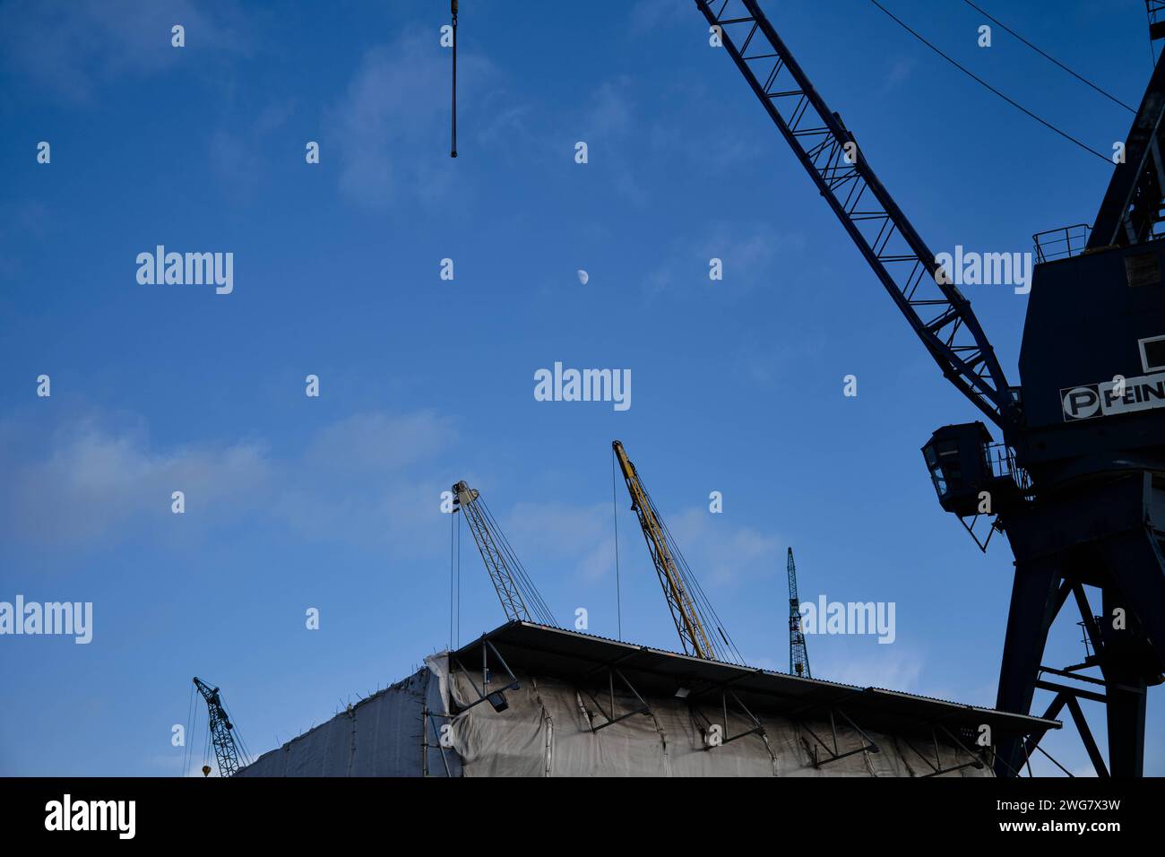 Der Mond hinter Kränen im Hafen von Hamburg, 19.01.2024 Hamburg Hamburg Deutschland *** la luna dietro le gru nel porto di Amburgo, 19 01 2024 Hamb Foto Stock