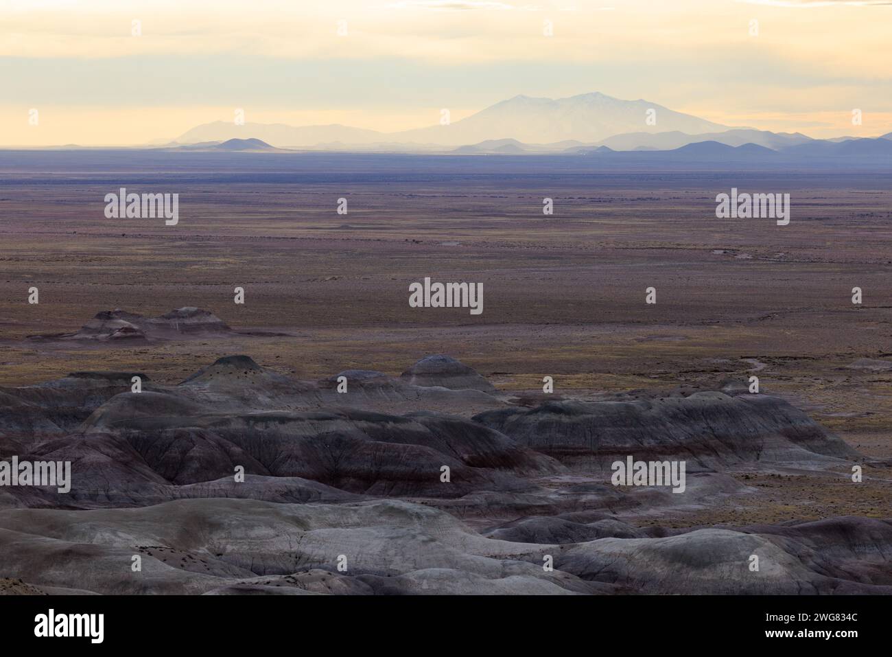 Colorate deposizioni del Chinle Formaton esposte al Little Painted Desert County Park vicino a Winslow, Arizona Foto Stock