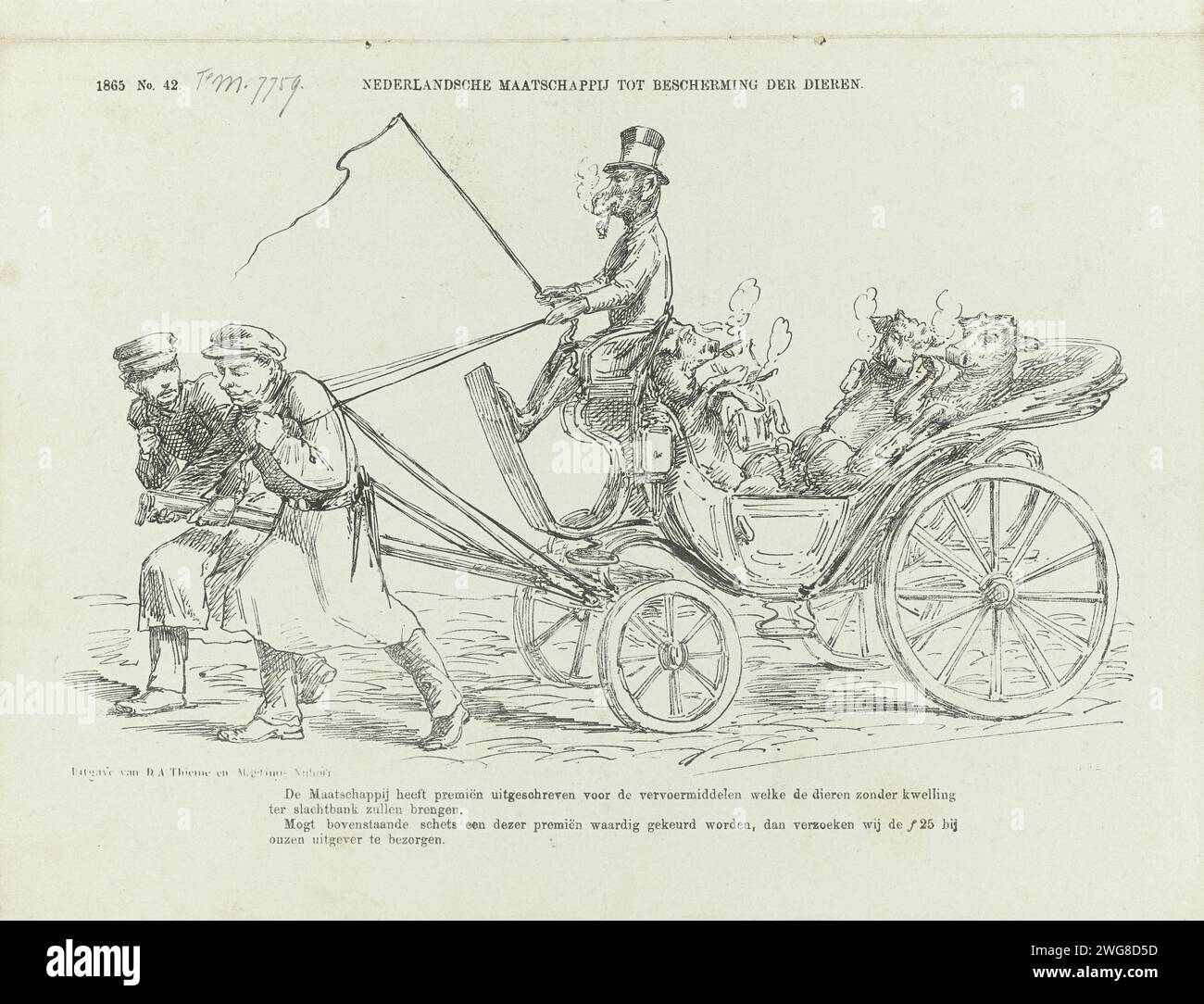 Cartoon on the Dutch Society for the Protection of Animals, 1865, 1865 stampa Cartoon on on the premium promosso dalla Dutch Society for the Protection of Animals a compagnie che portano gli animali alle banche di macellazione senza tormenti. Due uomini tirano una carrozza mescolata attraverso una scimmia e dove sono gli animali e fumano sigari. Plaat è apparso al Weekblad De Nederlandsche Spectator, no 42, 21 ottobre 1865. Tipografia: Netherlandsprinter: Netherlandspublisher: Arnhempublisher: The Hague paper Animals acting as Human Behind Foto Stock