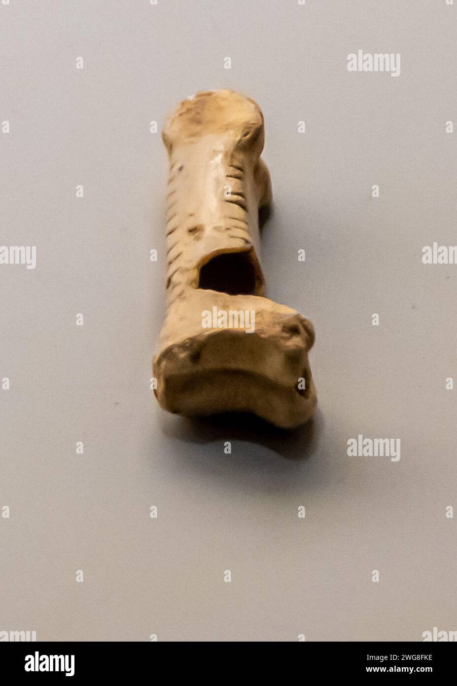 Ossa trasformate, intaglio, 4th-3rd Millenium B.C. Botay culture Kazakistan settentrionale, Foto Stock Ossa trasformate, intaglio, 4th-3rd Millenium B.C. Botay culture Kazakistan settentrionale, Foto Stock