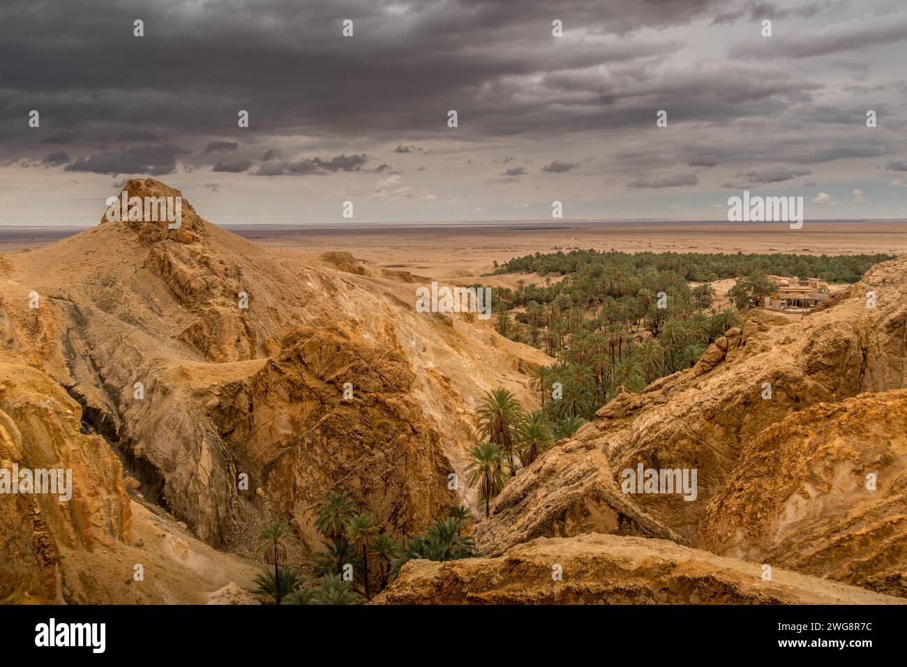 La vista aerea sull'oasi di Chebika nel deserto del Sahara della Tunisia, con palme, canyon e area asciutta nelle vicinanze della città di Tozeur. Foto Stock