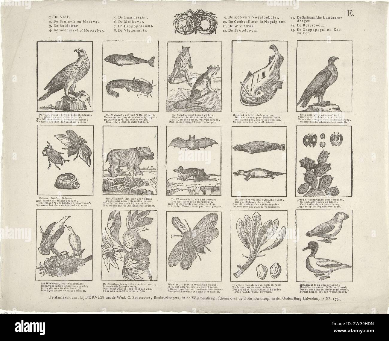 Animali e piante, 1784 - 1813 fogli stampati con 15 spettacoli di tutti i tipi di animali. Con in cima al sigillo della società per l'uso del generale. Un verso a quattro righe sotto ogni immagine. Contrassegnato in alto a destra: E. Editore: Amsterdamprint Maker: Olanda carta da stampa tipografica animali Foto Stock