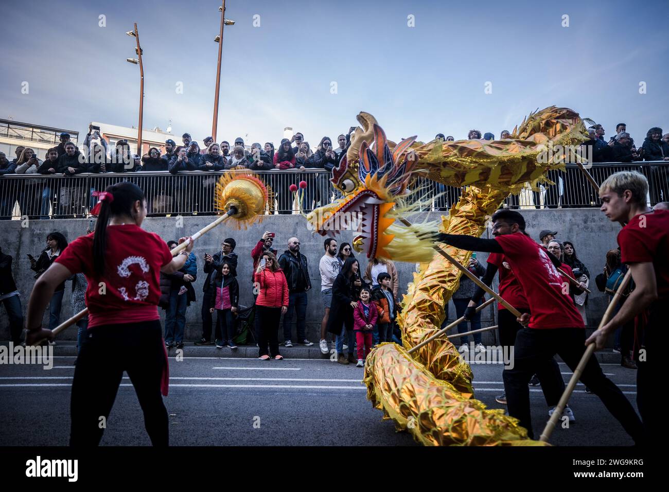 Barcellona, Spagna. 3 febbraio 2024. Spettacolo di drago cinese durante la parata del Capodanno cinese. La comunità cinese di Barcellona celebra l'inizio dei festeggiamenti per l'ingresso dell'anno del Drago. Diverse organizzazioni culturali cinesi hanno preparato una grande parata in uno dei viali più importanti di Barcellona. (Foto di Axel Miranda/SOPA Images/Sipa USA) credito: SIPA US/Alamy Live News Foto Stock