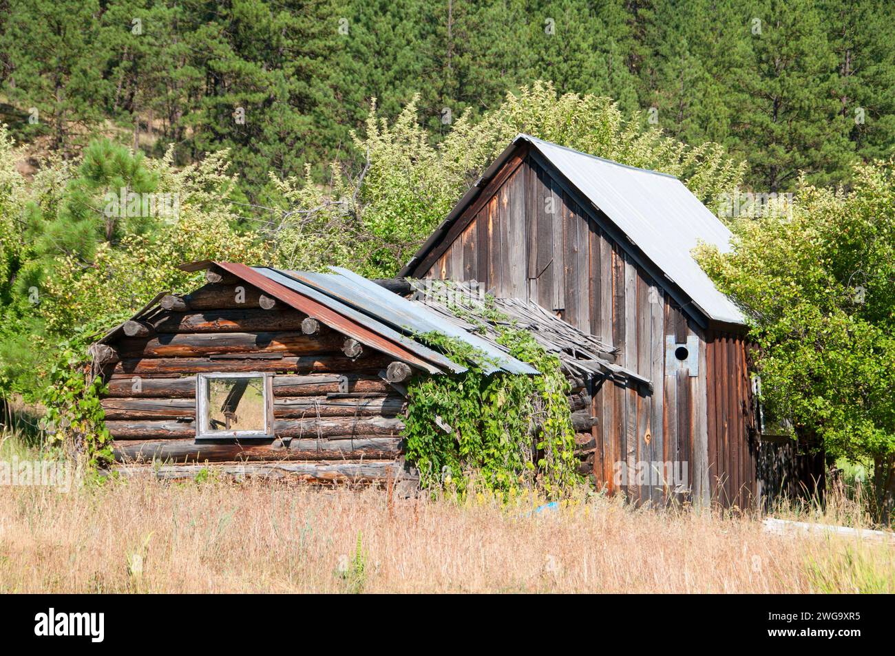 Granaio, Dunstan Homestead preservare, Oregon Foto Stock