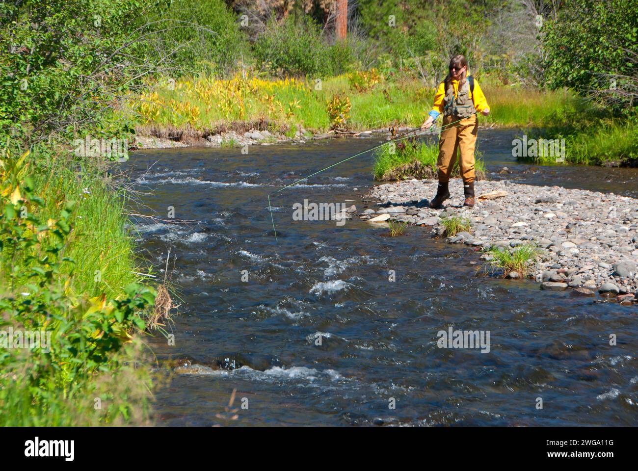 Pesca a mosca, North Fork Malheur selvatica e Scenic River, Malheur National Forest, Oregon Foto Stock