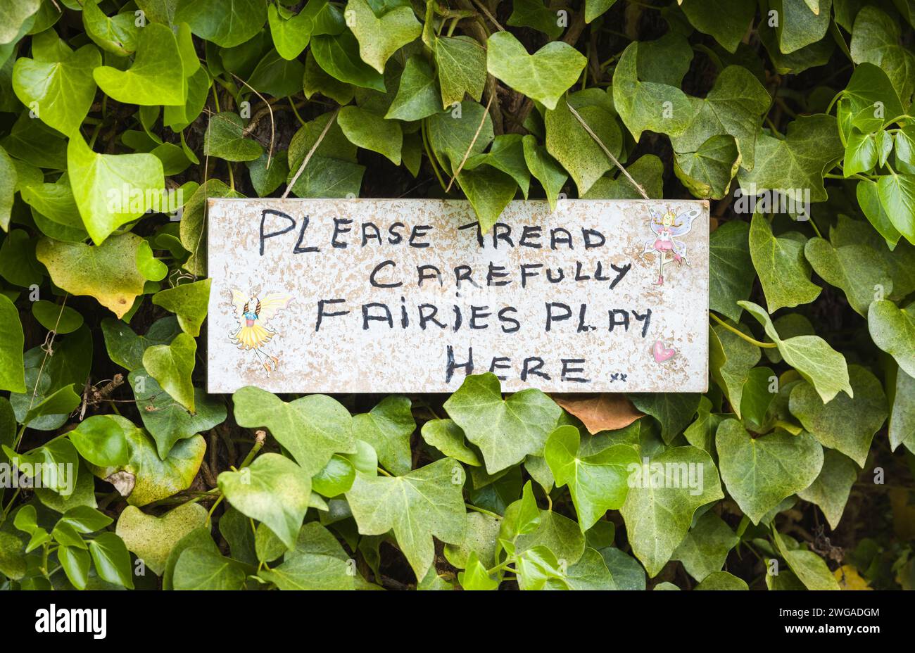 REGNO Unito - 25 maggio 2023. Iscriviti in un giardino all'inglese recita Please Tread carefully, Fairies Play here. Divertente cartello per bambini con disegni di fate. Foto Stock