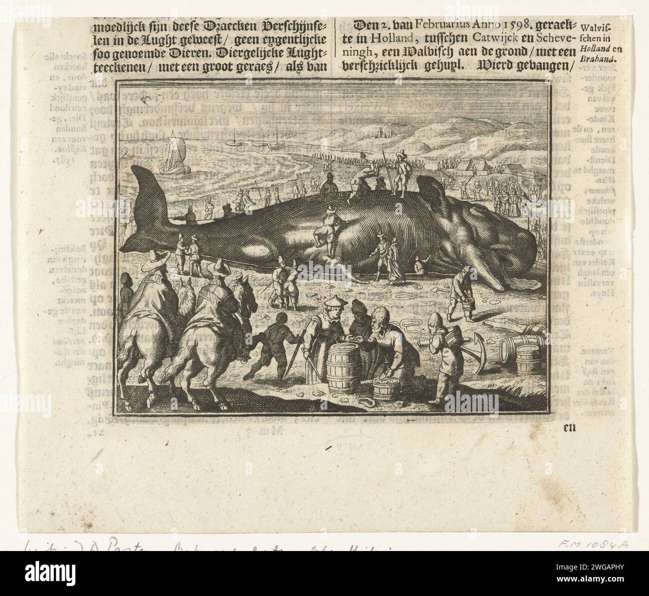 Balena bloccata a Berckhey, 1598, 1600 - 1649 stampa De Walvis (Potvis) arenata il 2 febbraio 1598 sulla spiaggia vicino a Berckhey tra Katwijk e Scheveningen. In primo piano due piloti e figure intorno a una canna. Da un libro olandese con testo stampato in alto e sul retro. Mammiferi da nuoto con incisione/incisione della carta dei Paesi Bassi settentrionali: Balena Katwijk. Scheveningen Foto Stock