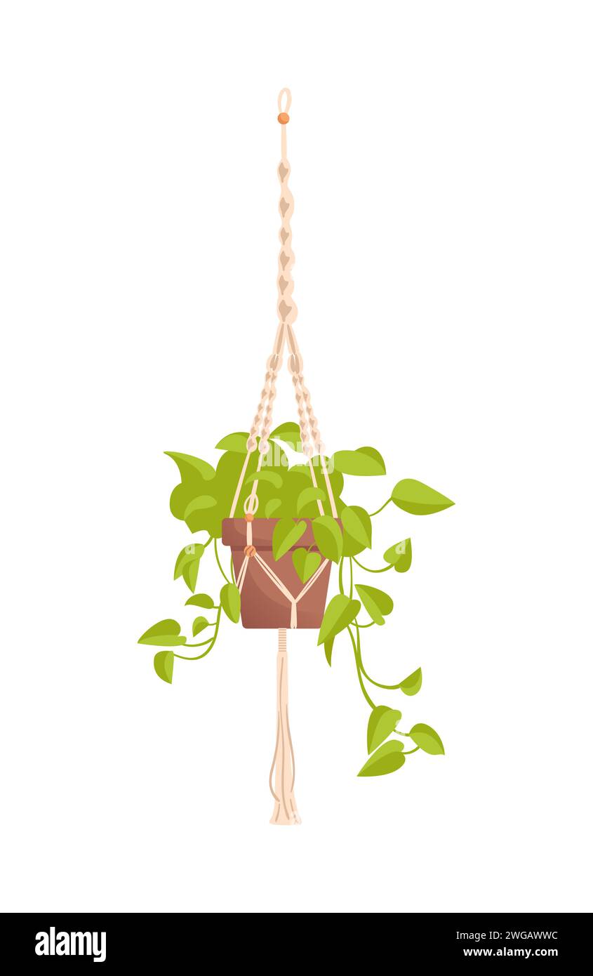 Epipremnum neon, scindapsus, liana della famiglia delle Araceae. Pianta esotica in un vaso. Piante di casa, hobby. Ciondolo Macrame, artigianato. Illustrazione botanica Illustrazione Vettoriale