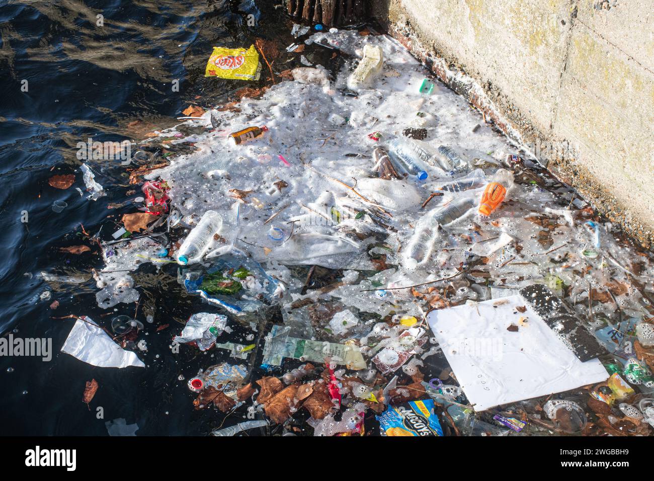 Molti rifiuti, soprattutto quelli di plastica, nell'acqua di Millwall Dock, Isle of Dogs, Londra, Inghilterra, Regno Unito. Concetto: Inquinamento plastico, inquinamento fluviale Foto Stock