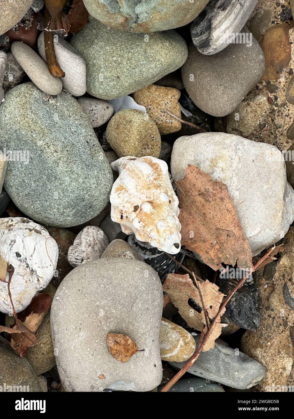 Montecito, California, U.S.A., 3 febbraio 2024. Butterfly Beach, a Montecito, che è stato uno dei tratti di costa più belli e incontaminati della contea di Santa Barbara, è stata spogliata di sabbia, esponendo misteriose lastre di cemento sepolte a lungo e disseminate di rocce e detriti dopo l'ultimo temporale, i residenti locali si chiederanno cosa farà questo fine settimana la tempesta di "fiume atmosferico" alla spiaggia amata, spesso frequentata da reali, star del cinema, turisti e gente del posto. Questa foto è stata scattata con la bassa marea, ma l'acqua è alta sulla spiaggia già come me Foto Stock