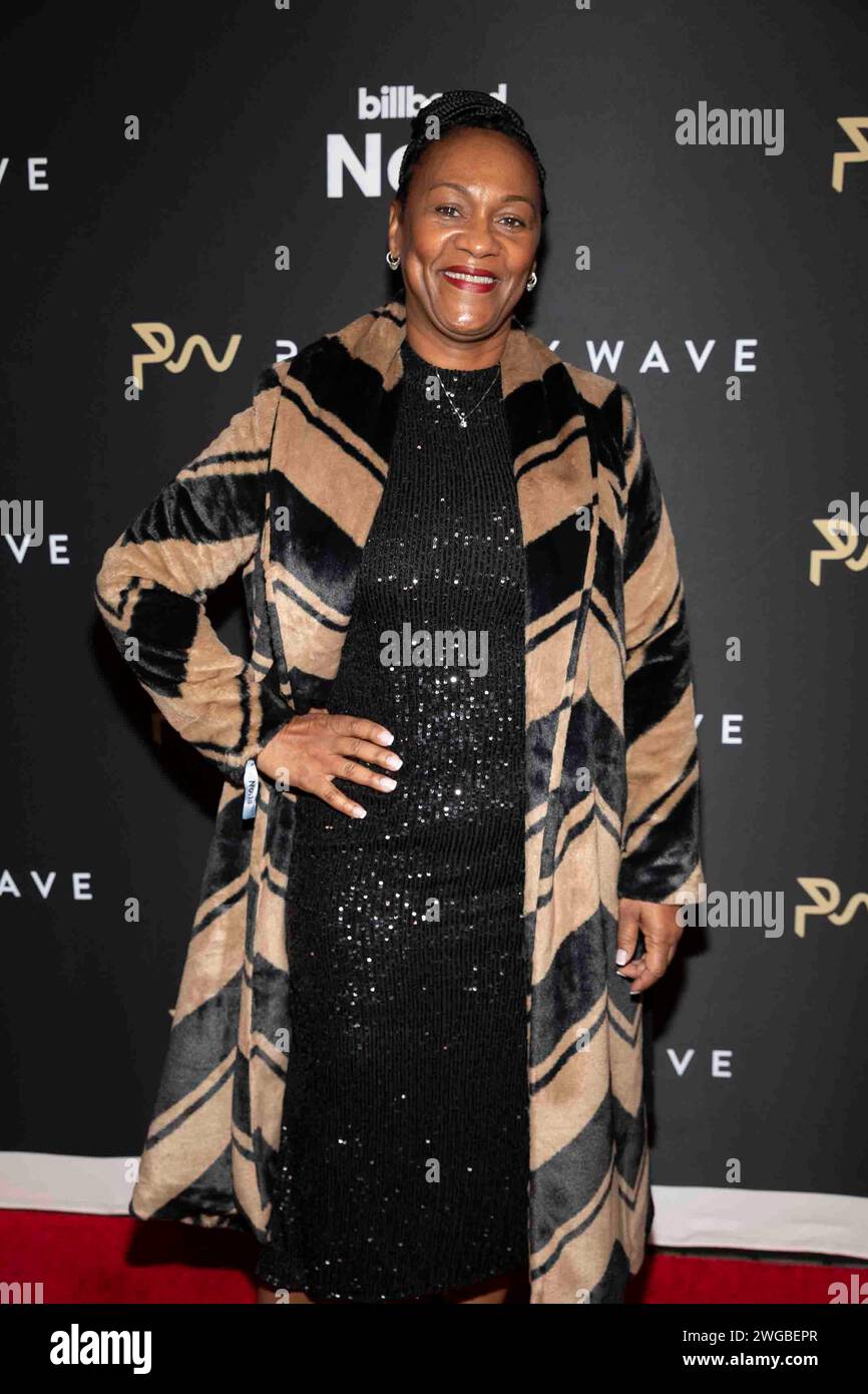 Donna Houston partecipa agli arrivi del 17° Annual Pre-GRAMMY Party dei Primary Wave al Waldorf Astoria Beverly Hills a Beverly Hills, CALIFORNIA, il 3 febbraio 2024. (Foto di Corine Solberg/SipaUSA) Foto Stock