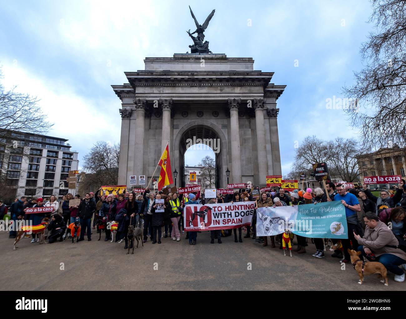 Centinaia di persone provenienti da tutto il Regno Unito e i loro cani da soccorso spagnoli hanno partecipato a una marcia di sabato dall'ambasciata spagnola a Trafalgar Square a L. Foto Stock