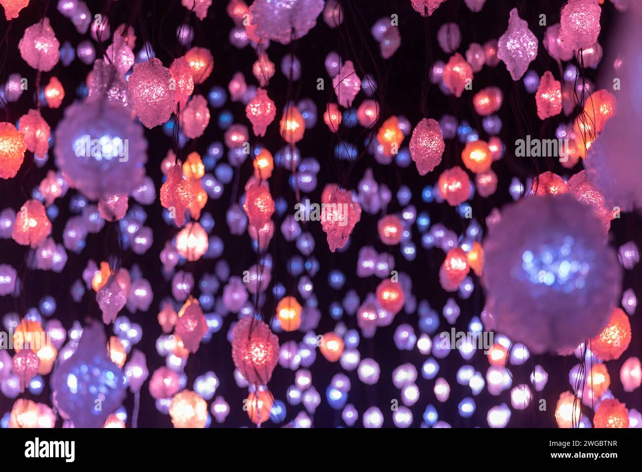 Louisiana Museum of Modern Art di Humlebaek, temporŠre Ausstellung von Pipilotti Rist. Pipilotti Elisabeth Rist ist eine Schweizer VideokŸnstlerin, di Foto Stock