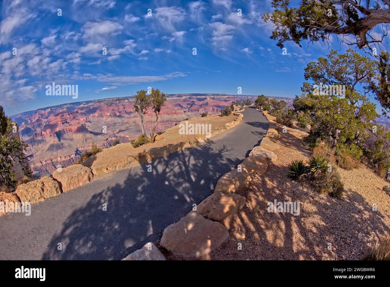 Sentiero pedonale che conduce a Maricopa Point, Grand Canyon, Arizona, Stati Uniti Foto Stock
