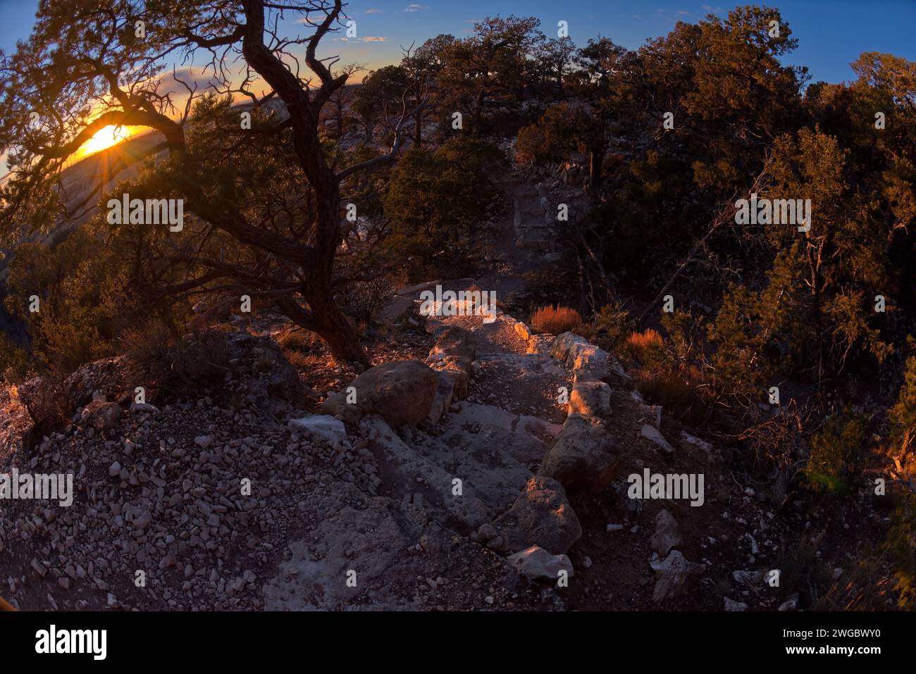 Gradini di pietra lungo l'Hermit Rim Trail, il South Rim, il Grand Canyon National Park, Arizona, Stati Uniti Foto Stock