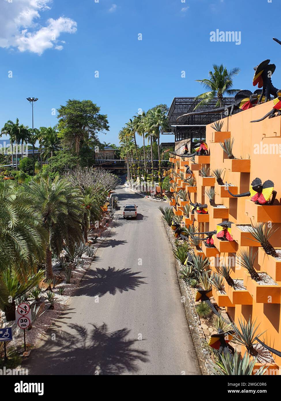 Pattaya, Thailandia - 10 dicembre 2023: Giardino botanico tropicale di Nong Nooch, Pattaya, Thailandia in una giornata di sole Foto Stock