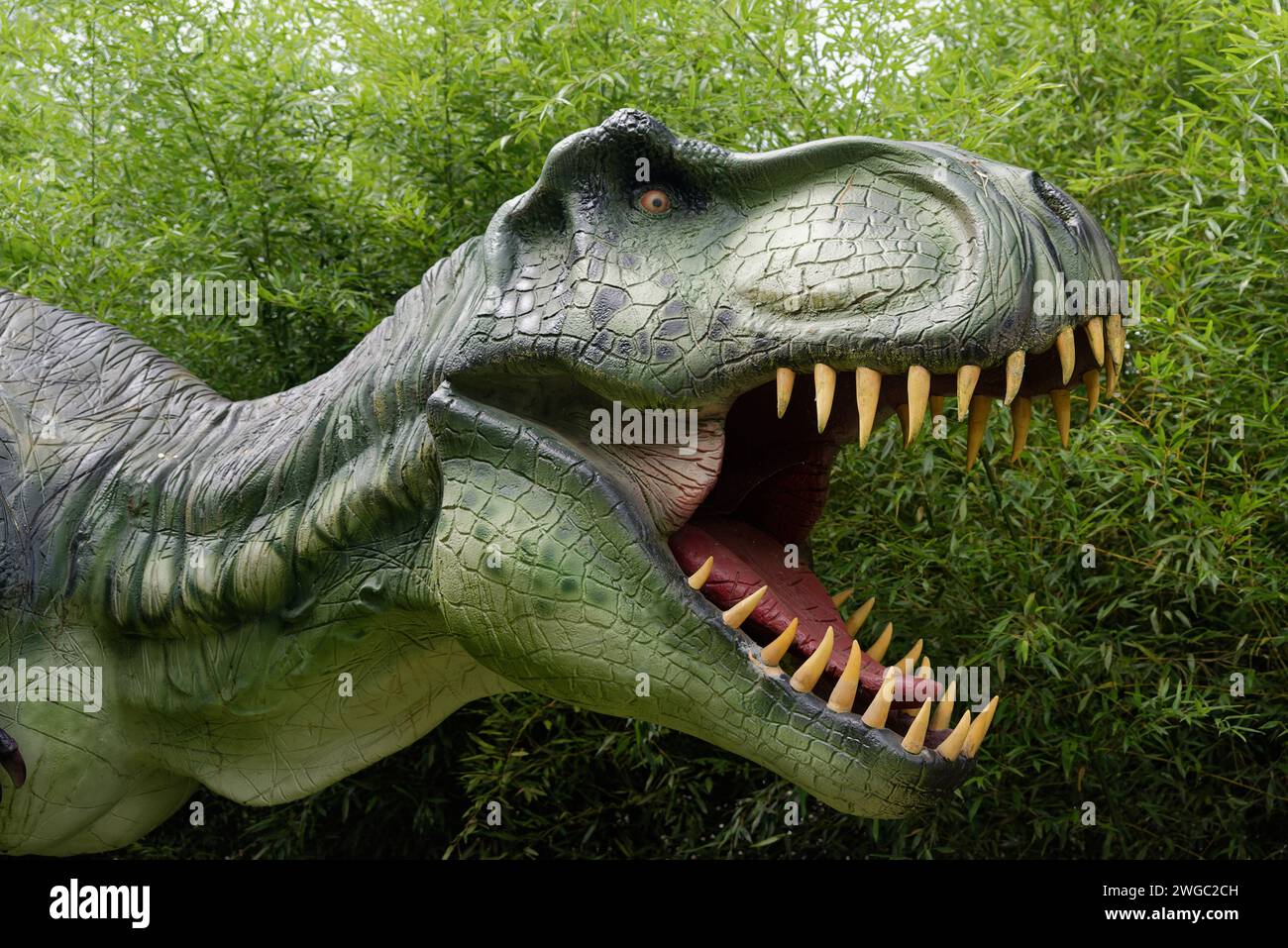 Dinosauri in resina. Triceratops, Tyrannosaure, T-rex Foto Stock