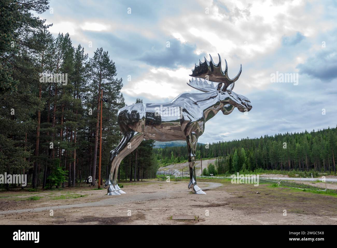 Alce d'argento, Osterdalen, Norvegia Foto Stock