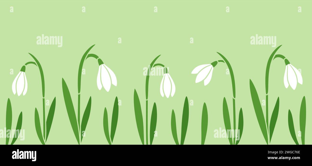 Fiori a goccia di neve, grazioso striscione primaverile su sfondo verde. Semplice illustrazione vettoriale dei cartoni animati piatti. Illustrazione Vettoriale