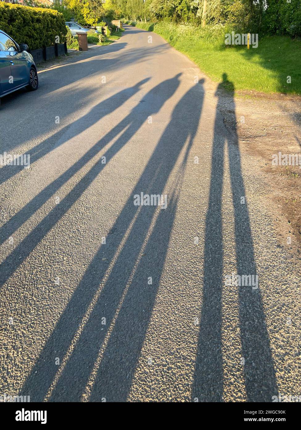 Ombre lunghe Foto Stock