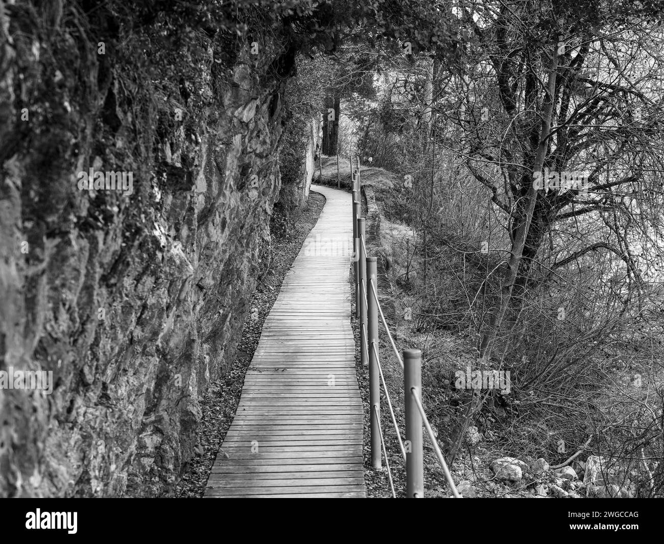 Ponte di legno sulla montagna. Cueva de las Güisas Villanua. Paesaggio di un sentiero escursionistico nella foresta Foto Stock