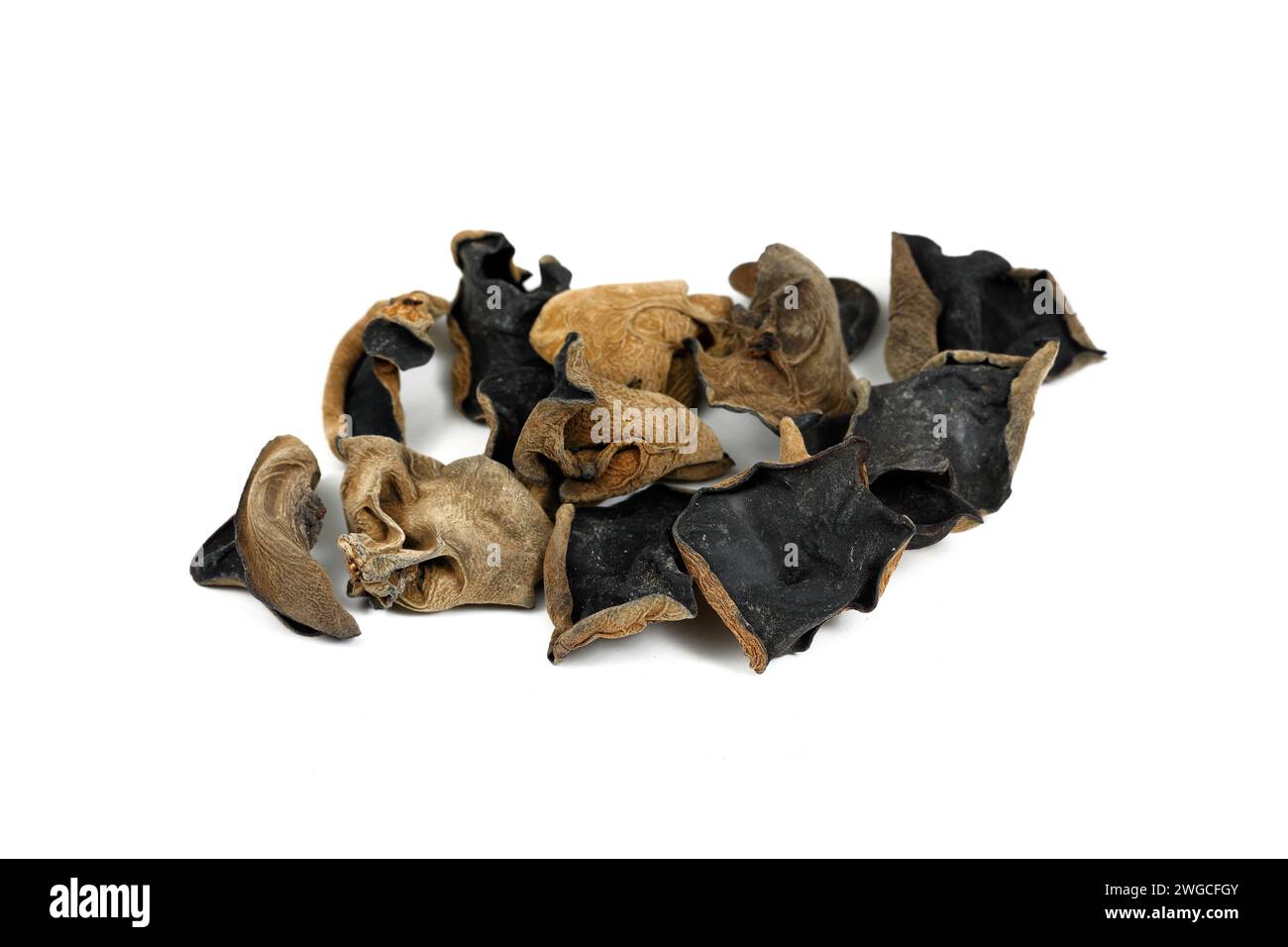 Fungo dell'orecchio nuvoloso essiccato (Auricularia cornea) 雲耳 isolato su sfondo bianco. i funghi dell'orecchio nuvoloso 毛木耳 sono simili a quelli dell'orecchio di legno, ma più scuri e sottili Foto Stock