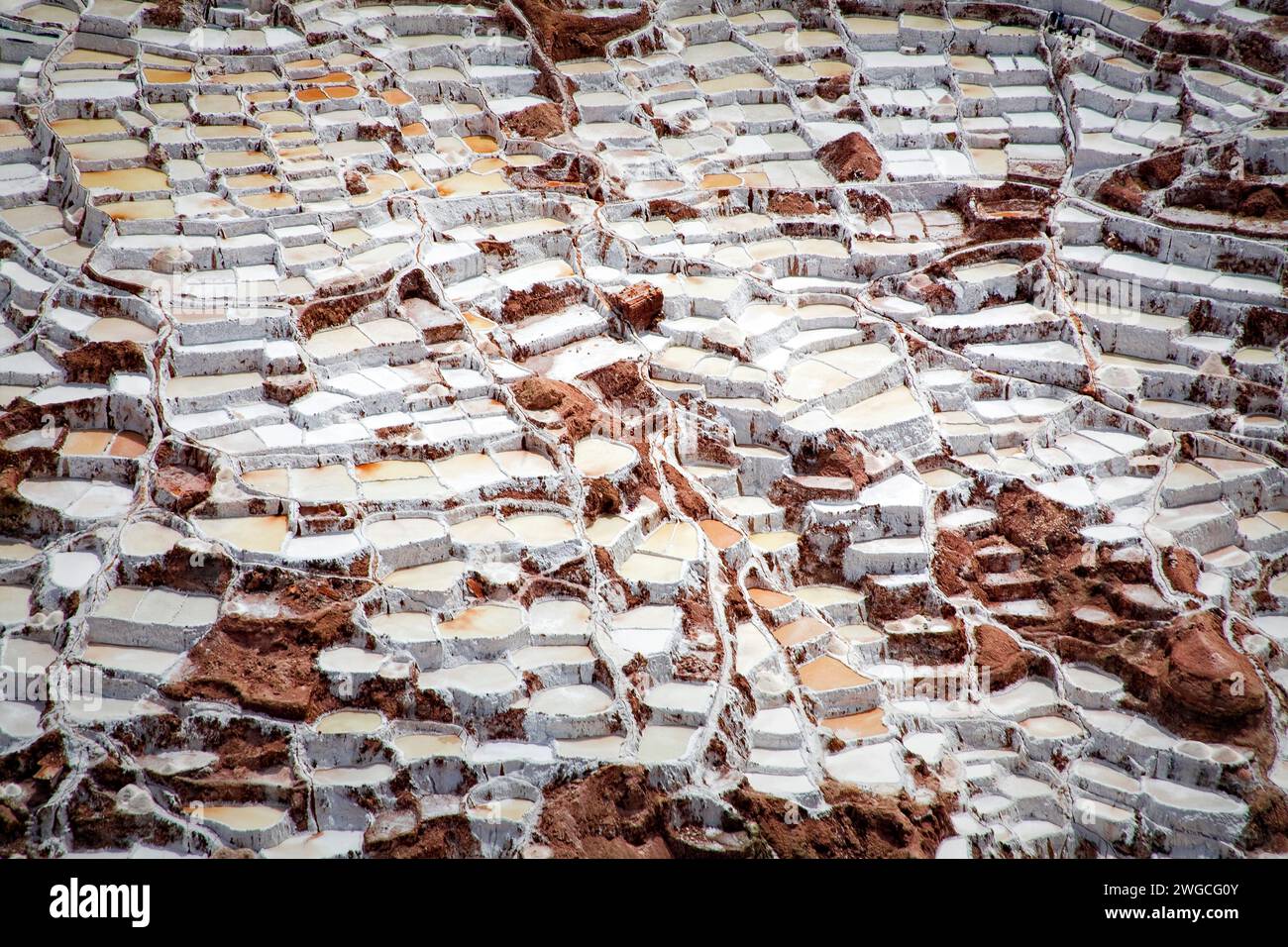 Le saline evaporative di Salineras de Maras nelle Ande del Perù. Foto Stock