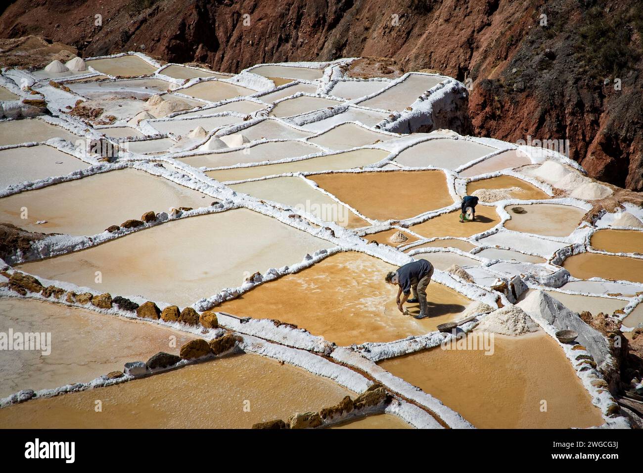 I lavoratori raccolgono il sale dalle padelle di Salineras vicino a Maras, in Perù Foto Stock