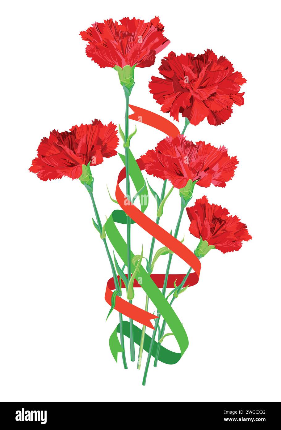 Bouquet di garofani rossi con nastri festivi su sfondo bianco. Fiori vettoriali per biglietti d'auguri per il giorno dell'indipendenza, 9 maggio. Regalo per i genitori Illustrazione Vettoriale