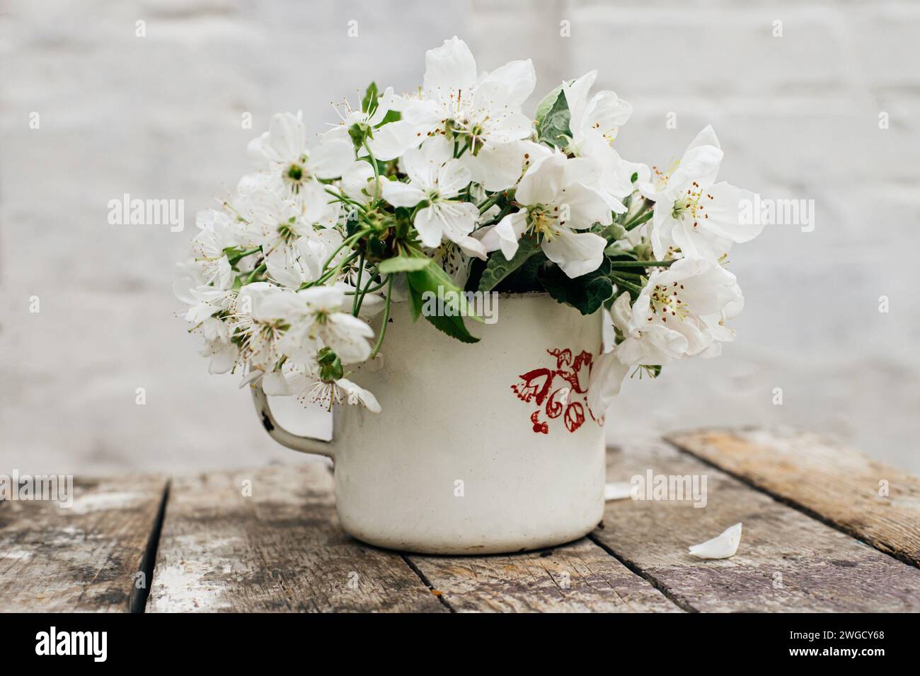 Natura morta con tazza e bouquet di rami con fiori di mele. Petali bianchi di alberi in fiore caduti su cemento. Foto Stock
