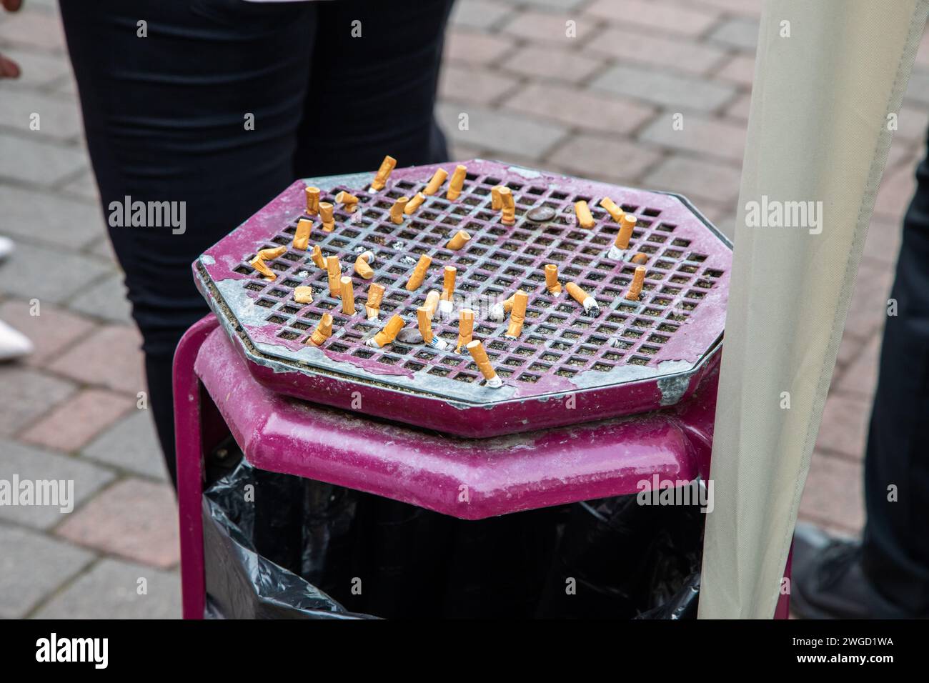 Zigarettenkippen Stummel ausgedrückt im Mülleimer Foto Stock