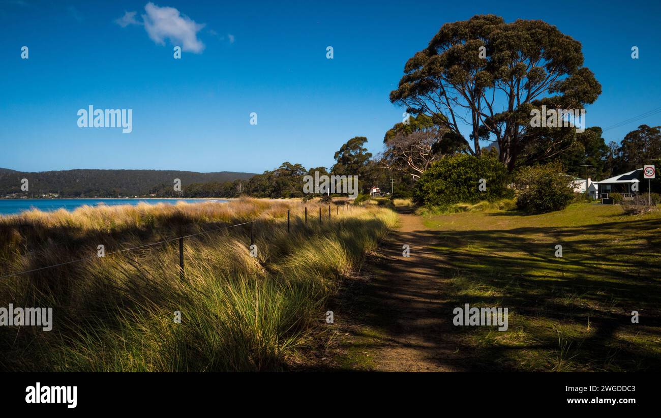 Spiaggia dell'isola di Bruny, Tasmania Foto Stock