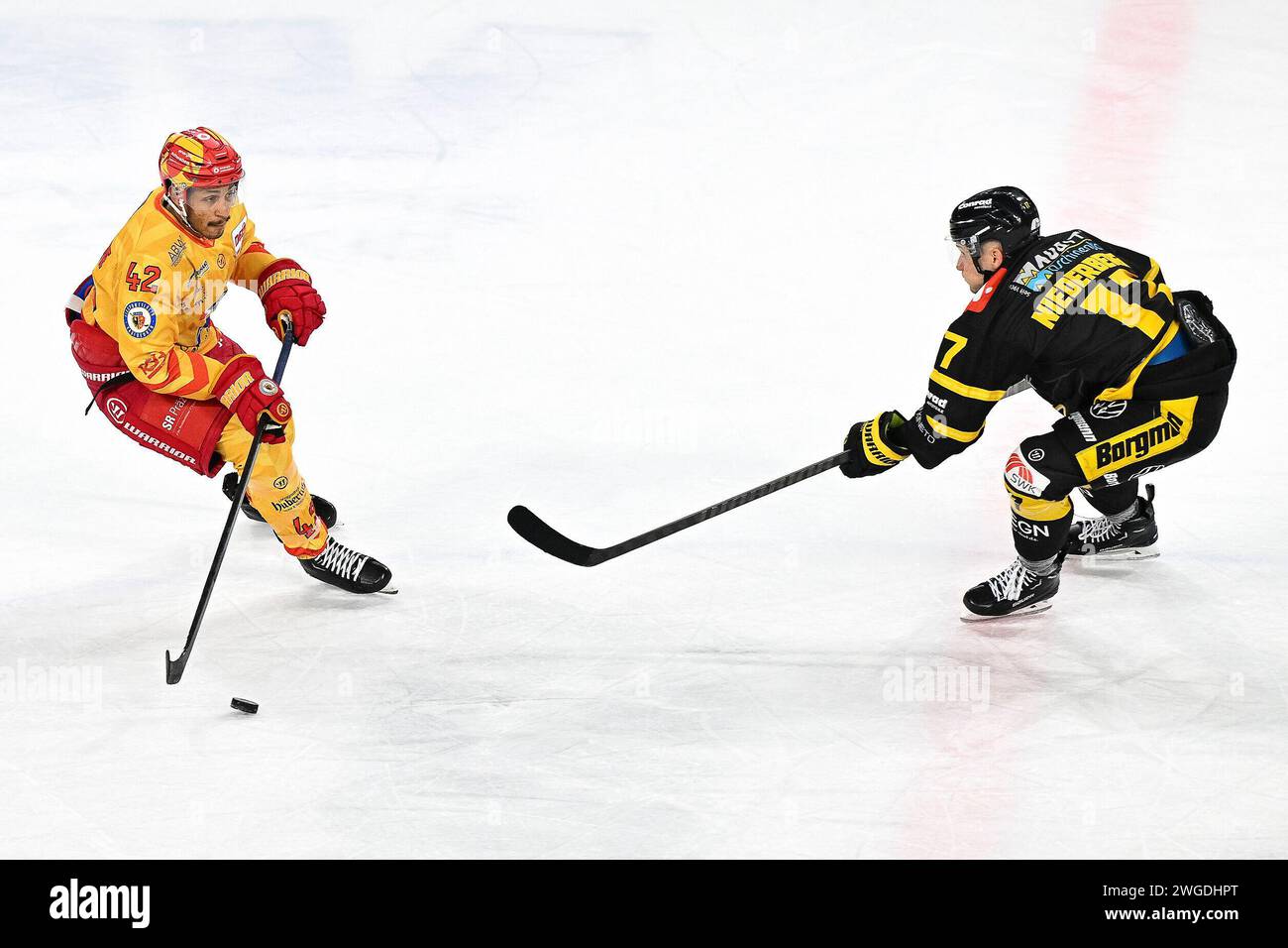 Eishockey DEL2 - 45. Spieltag: Krefeld Pinguine vs ESV Kaufbeuren AM 04.02.2024 in der Yayla Arena a Krefeld Kaufbeurens Jamal Watson (Nr.42) gegen Krefelds Leon Niederberger (Nr.17) foto: Osnapix Foto Stock