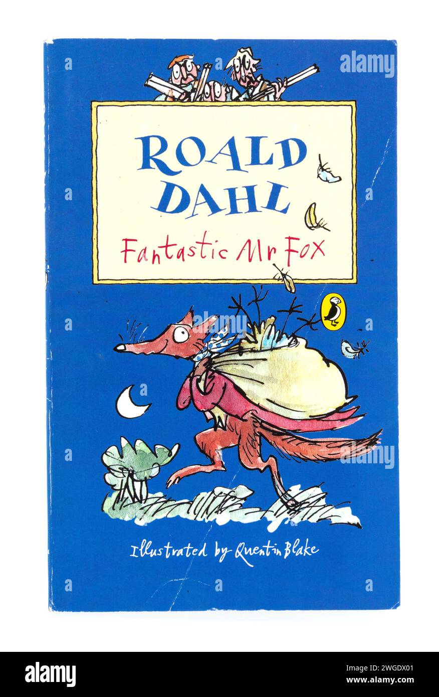 Fantastico libro cartaceo Mr Fox - Roald Dahl in puffin Foto Stock