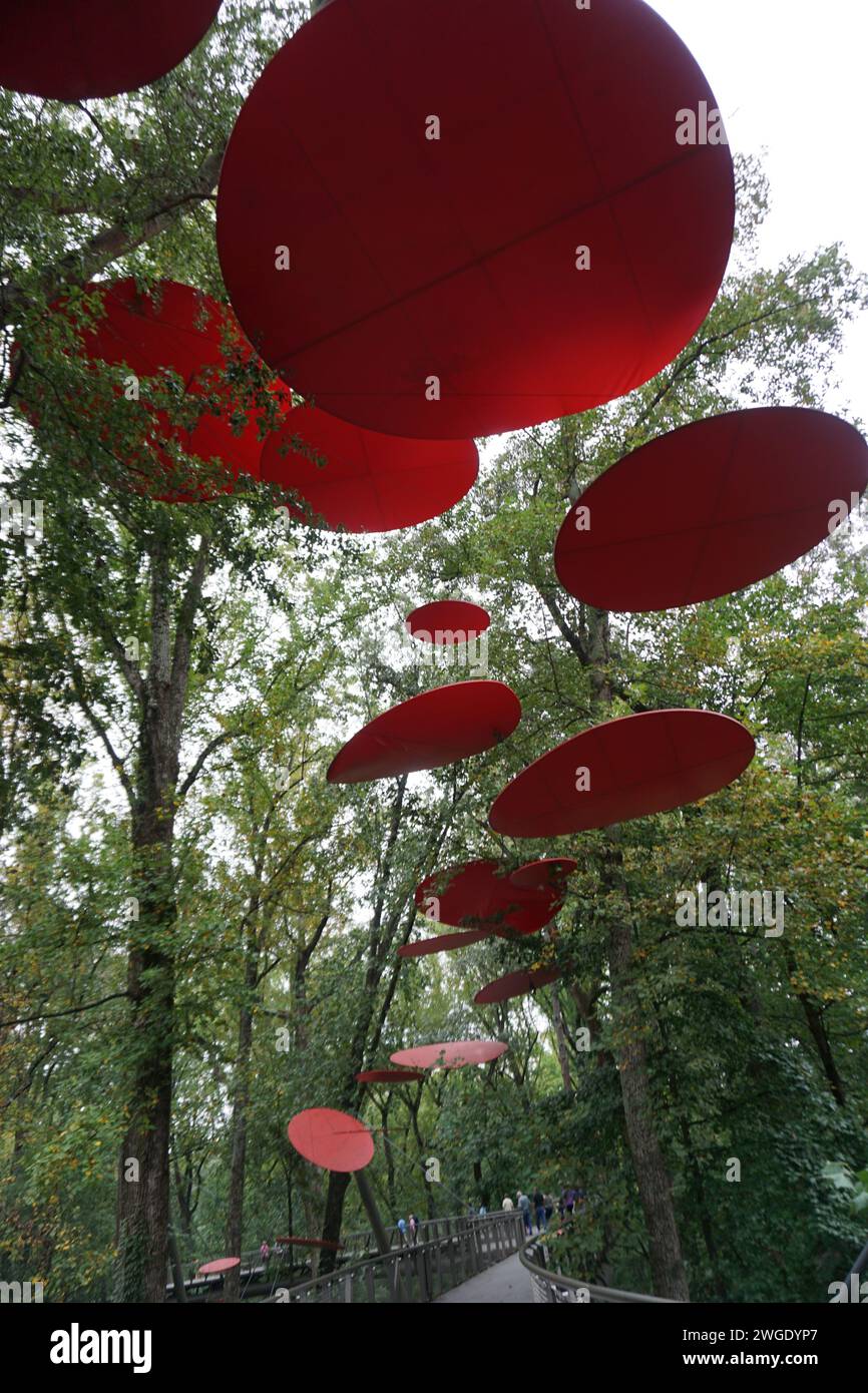 Grandi dischi rossi vibranti pendono sospesi sopra un sentiero forestale, creando un contrasto sorprendente con il verde circostante. Foto Stock