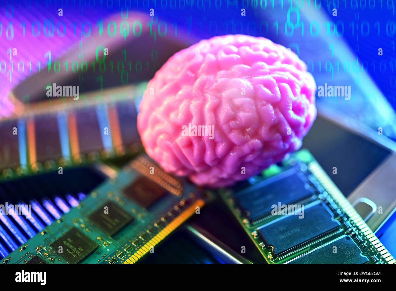 Brain on smartphone with computer board, Symbol Photo Neurotechnology, fotomontaggio Foto Stock