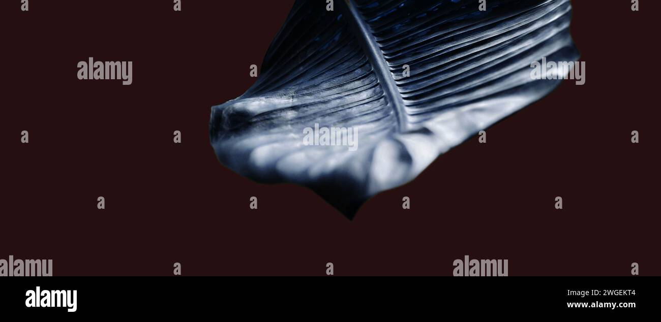 Frammenti di foglie singole di Dieffenbachia/stupida pianta di canna da zucchero. Immagine astratta artistica futuristica. Manipolazione delle immagini. Minimalismo, primo piano, sostenibilità Foto Stock