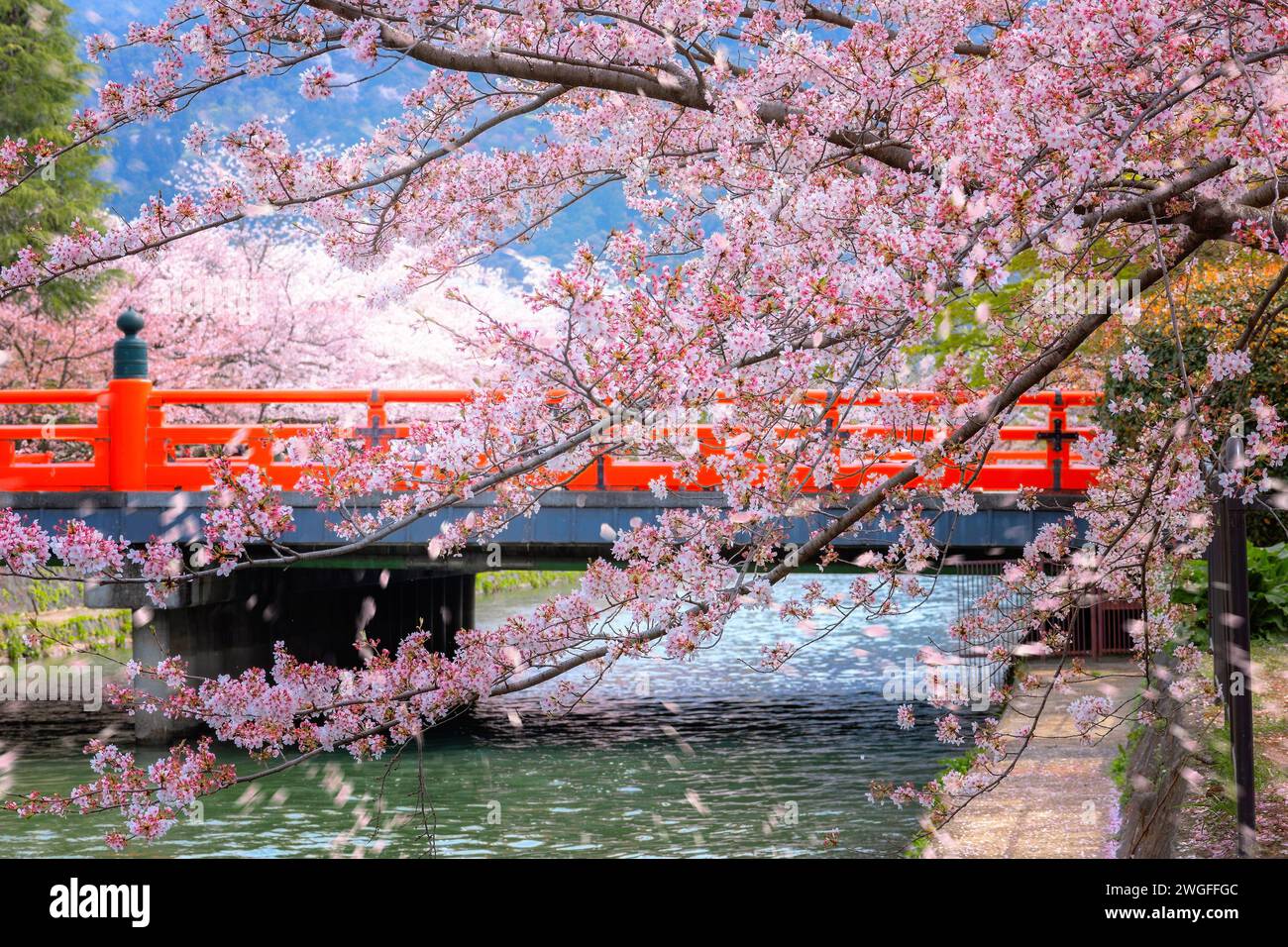 Kyoto, Giappone - 2 aprile 2023: Il giro in barca Okazaki Jikkokubune effettua una crociera di tre chilometri dal molo delle barche di Nanzenji alla diga di Ebisu e ritorno Foto Stock