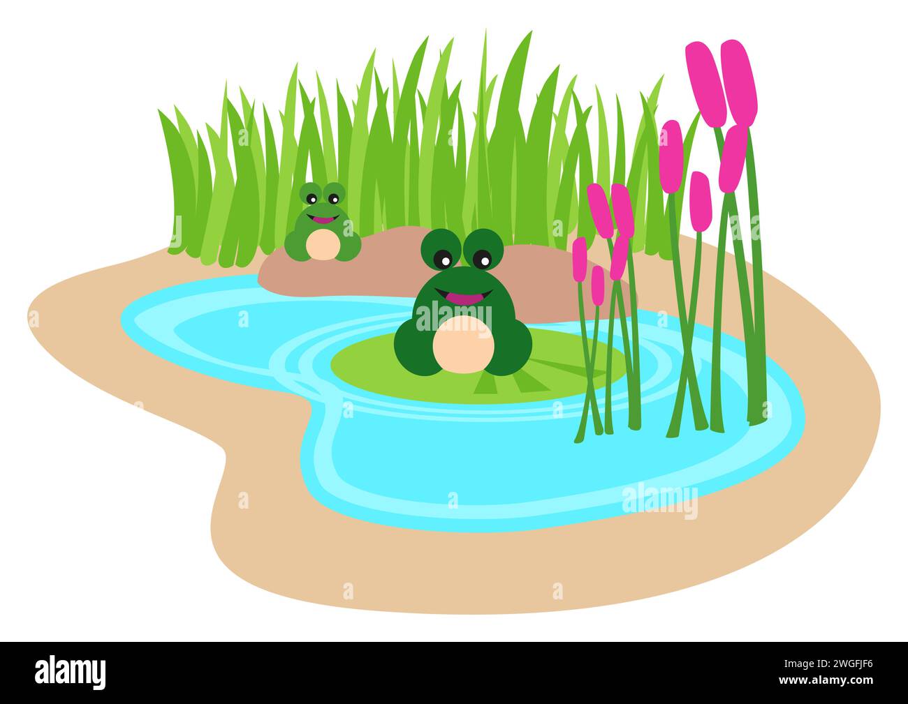 Illustrazione cartoni animati per bambini di rane nello stagno, illustrazione vettoriale Illustrazione Vettoriale