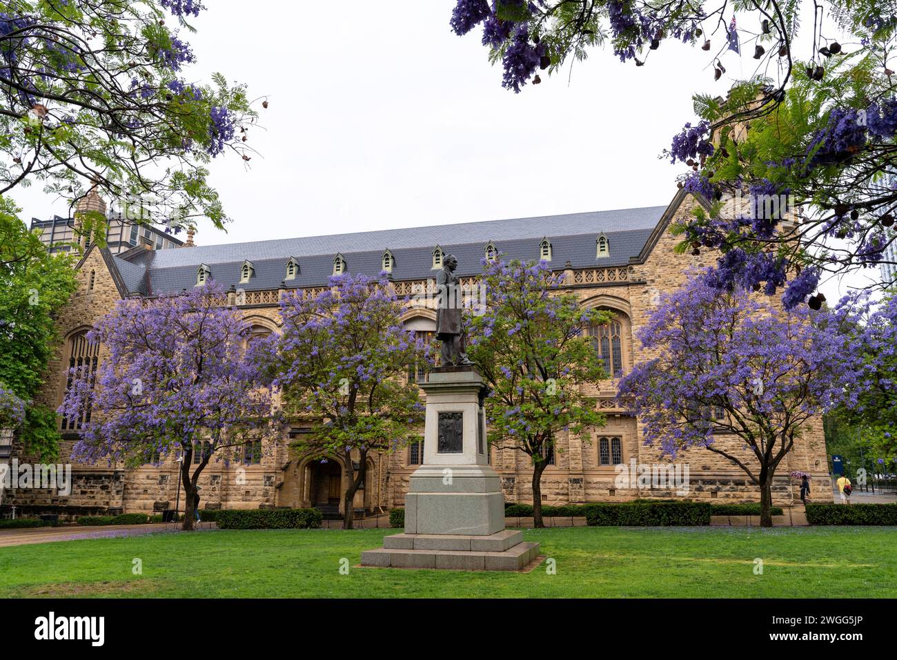 ADELAIDE, SA AUSTRALIA - 23 novembre 2023: The Goodman Crescent Laws presso l'Università di Adelaide, Australia meridionale. Foto Stock