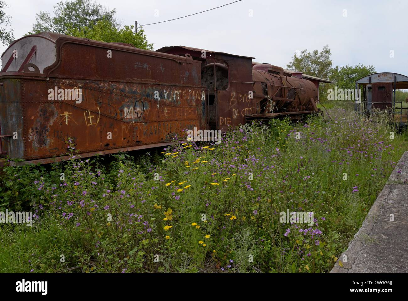 Una locomotiva a vapore Breda, abbandonata e dismessa, costruita nel 1951, presso l'ex stazione di Vartholomio, Peloponneso, Grecia Foto Stock
