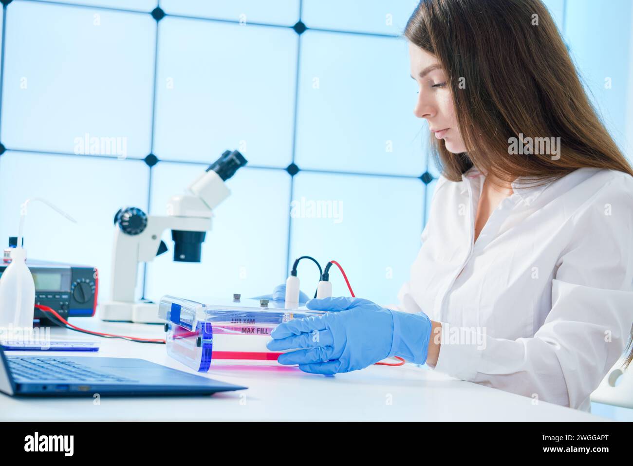 L'innovativa scienziata femminile conduce esperimenti scientifici in laboratorio Foto Stock