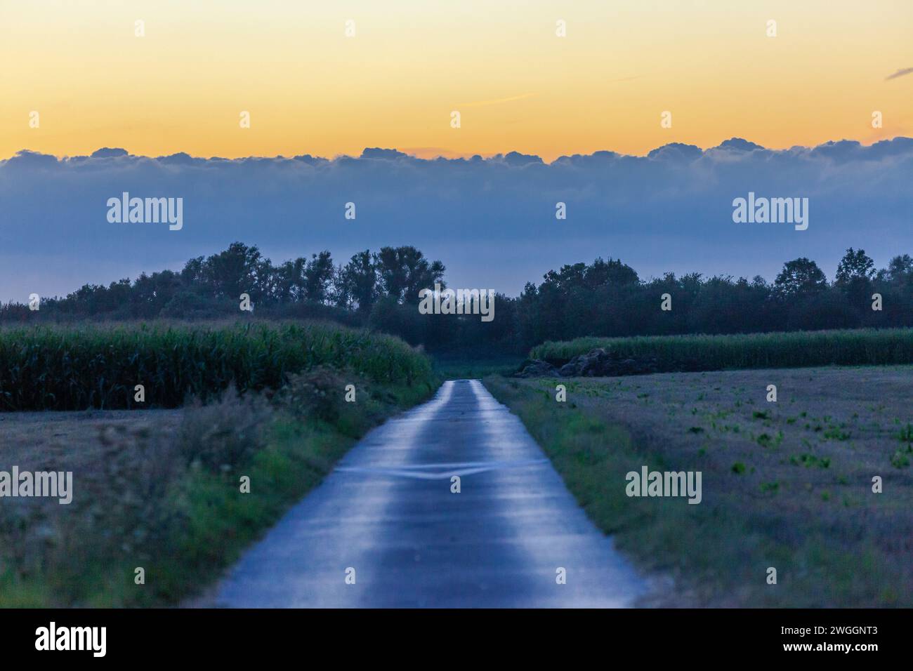 Una strada agricola scompare verso un orizzonte crepuscolo bloccato da una massa di nuvole Foto Stock