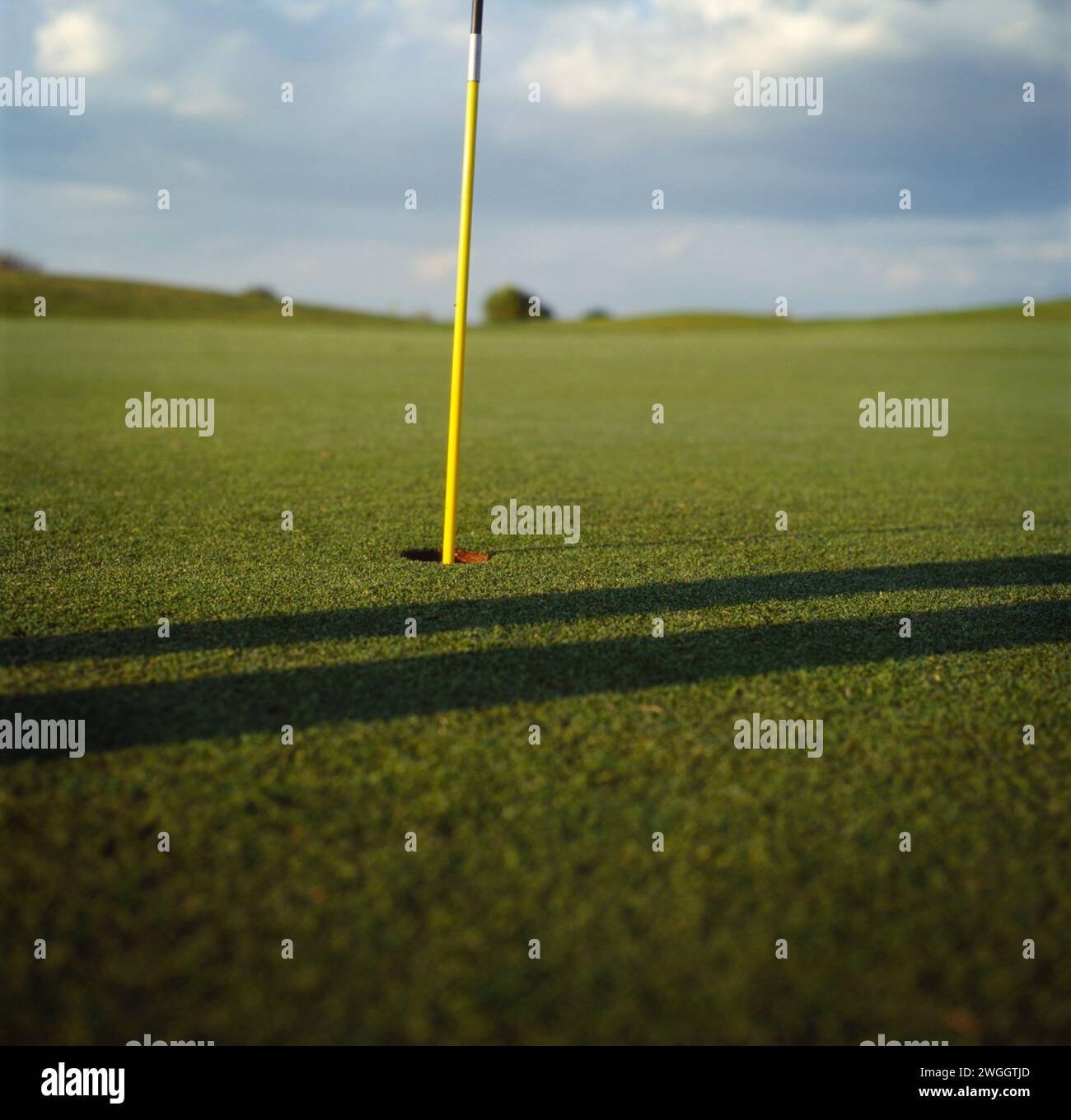 Vista ravvicinata del campo da golf soleggiato con bandiera. Foto Stock