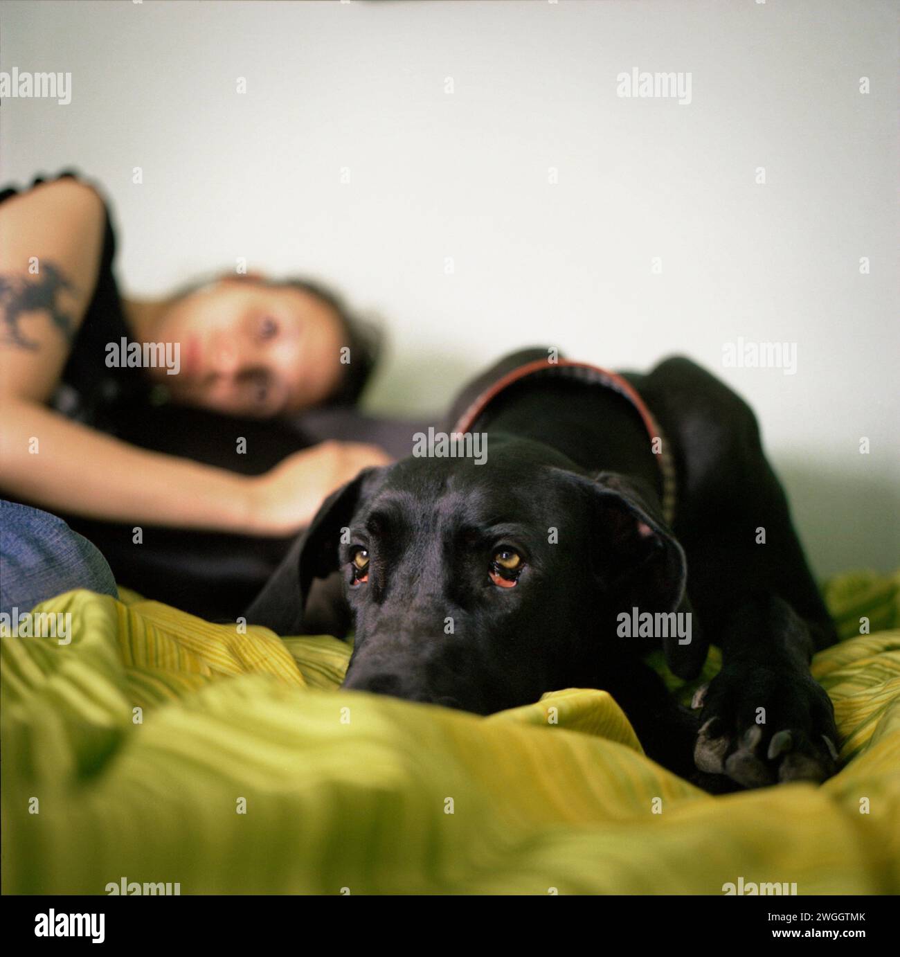 La giovane donna e il suo cane guardano la telecamera mentre sono sdraiati sul letto. Foto Stock