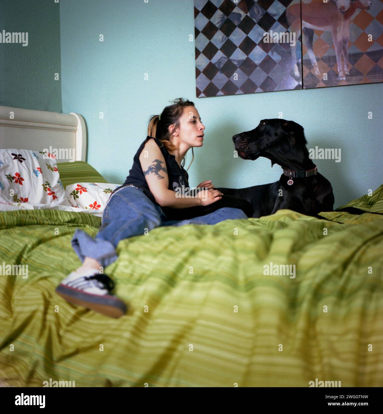 La giovane donna e il suo cane guardano l'altra mentre sono sdraiati sul letto. Foto Stock